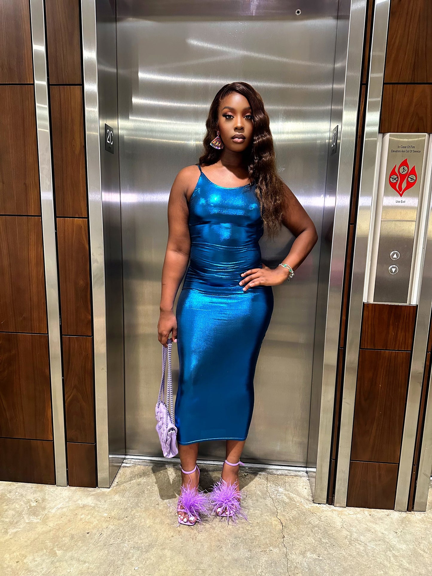 The Metallic Dress