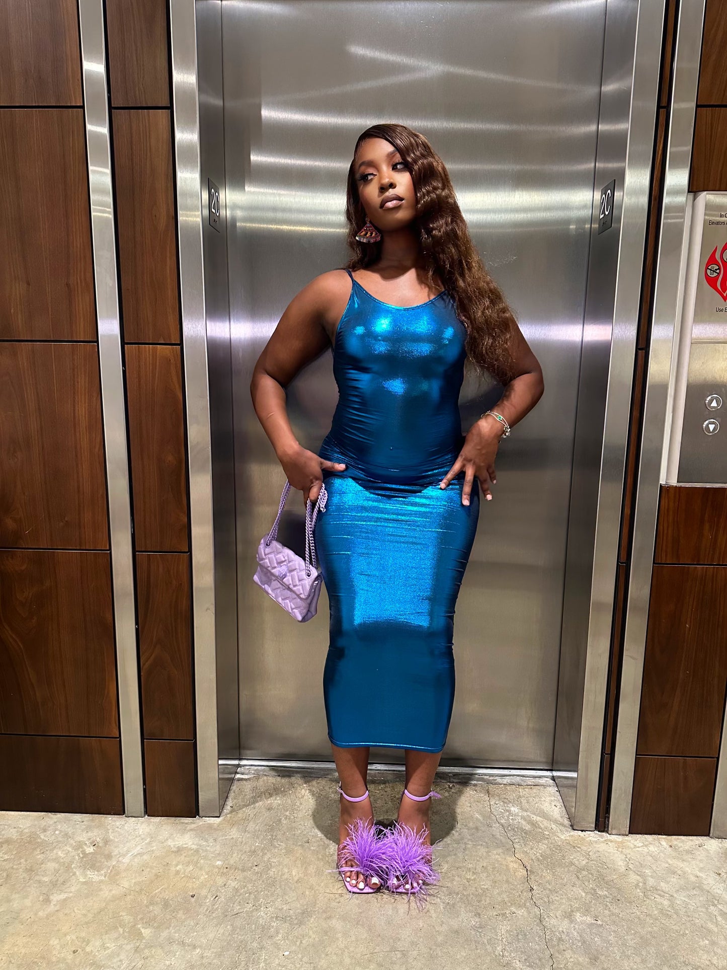 The Metallic Dress
