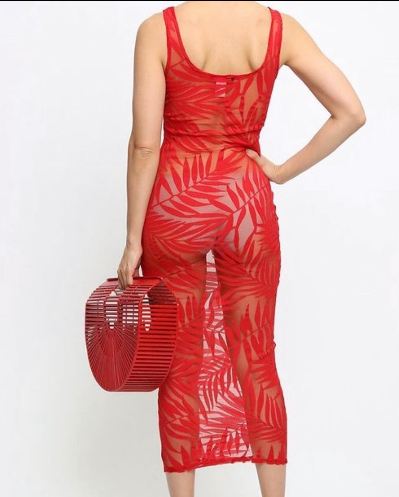 See Through Me Dress